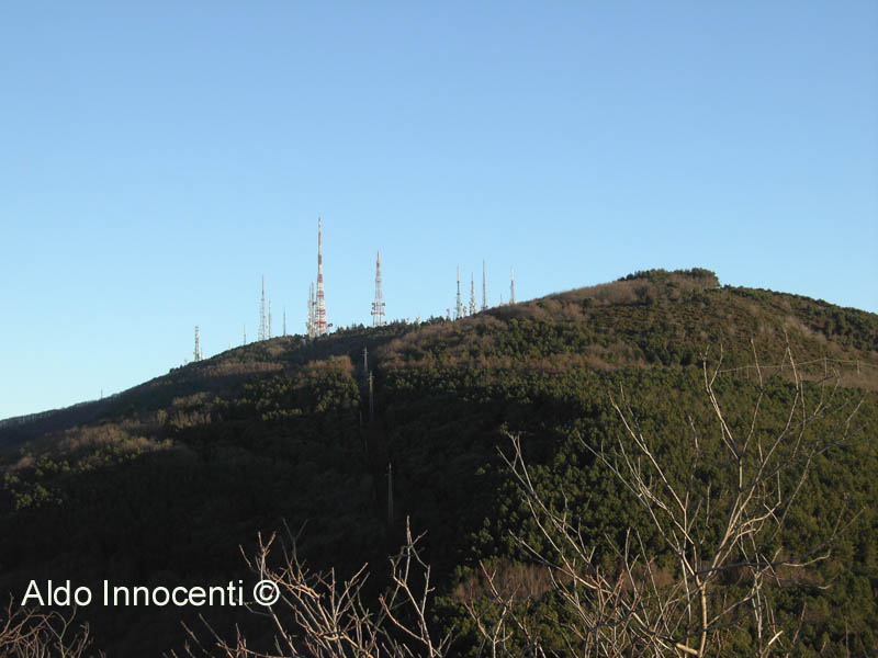 VETTA DEL MONTE SERRA